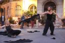 Les oignons 8 * 5184 x 3456 * (6.83MB)
